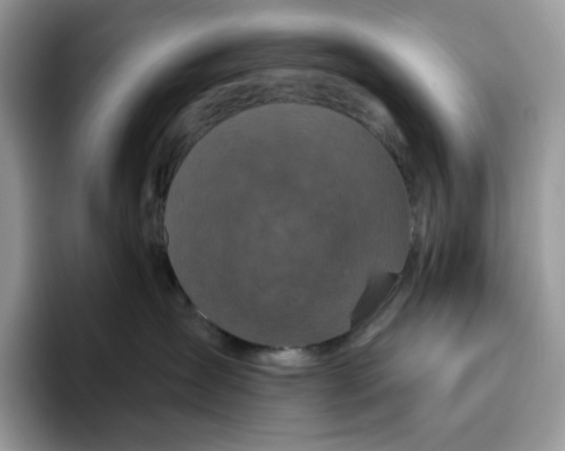 X0000095960431200802011125