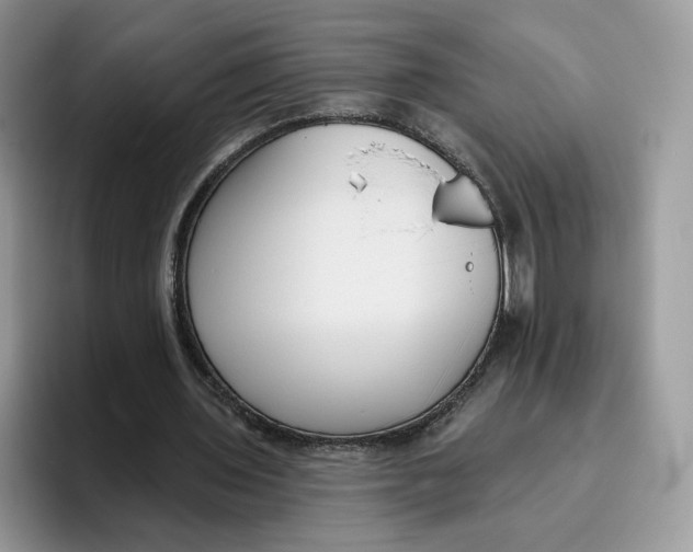 X0000095960435200802011125