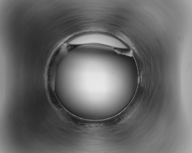 X0000095960436200802011125