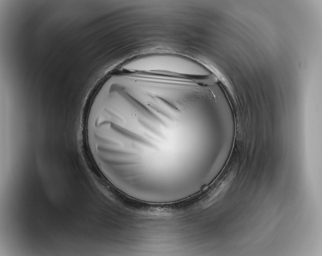 X0000095960437200802011125