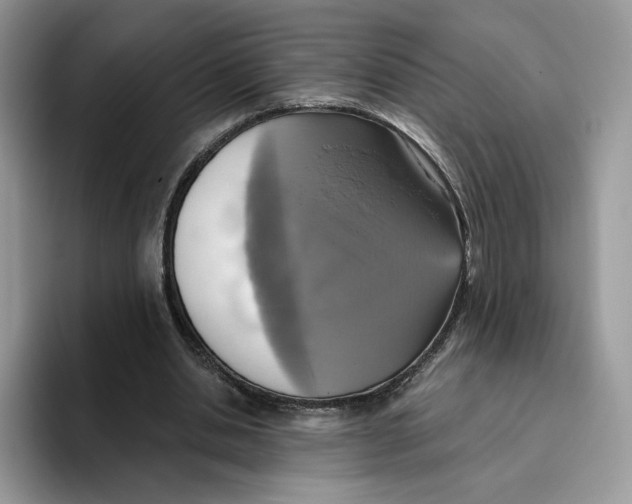 X0000095960438200802011125