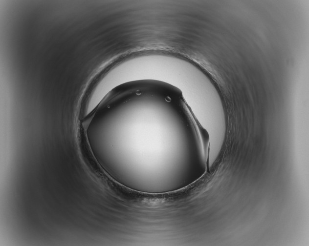 X0000095960440200802011125