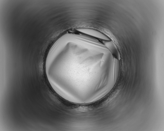 X0000095960441200802011125