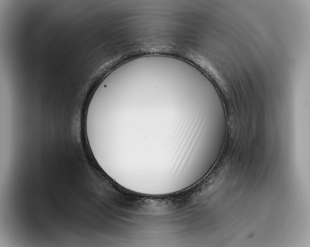 X0000095960442200802011125