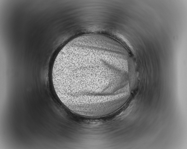 X0000095960443200802011125