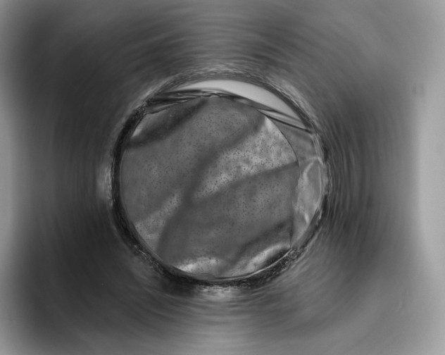 X0000095960444200802011125