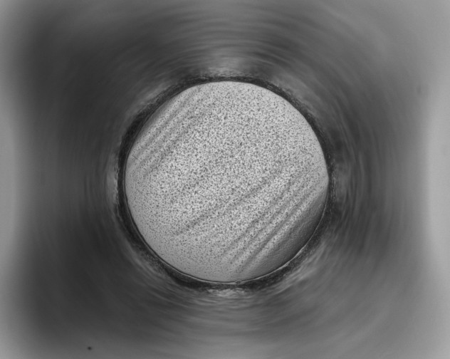 X0000095960446200802011125