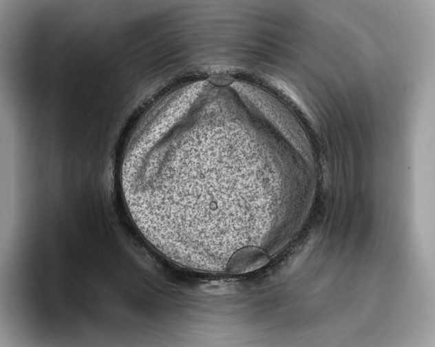 X0000095960447200802011125