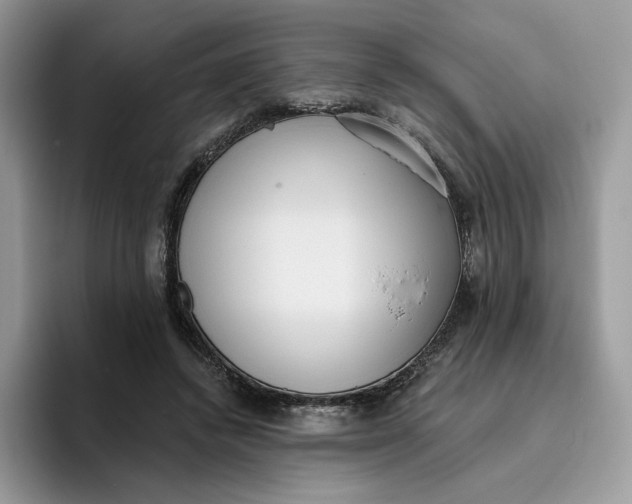 X0000095960448200802011125