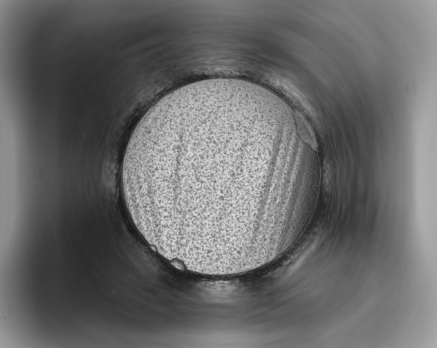 X0000095960449200802011125