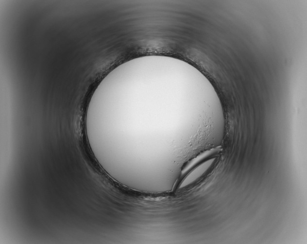 X0000095960450200802011125