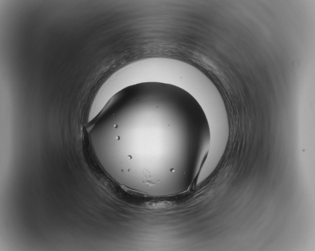 X0000095960452200802011125