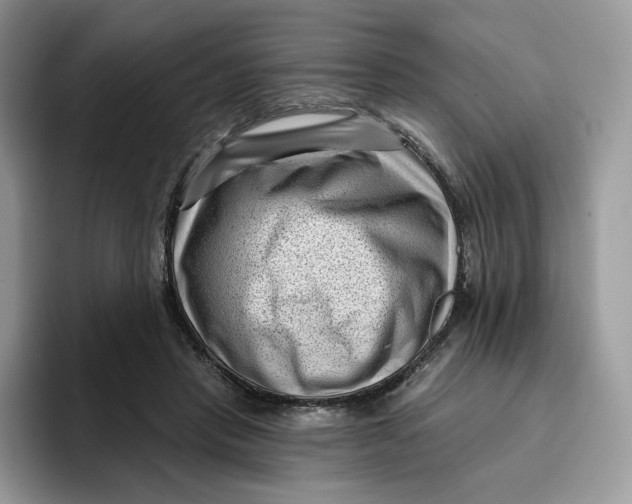 X0000095960453200802011125