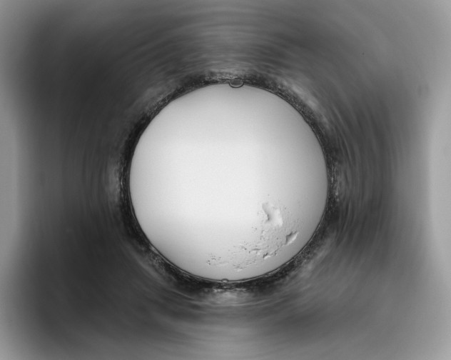 X0000095960455200802011125