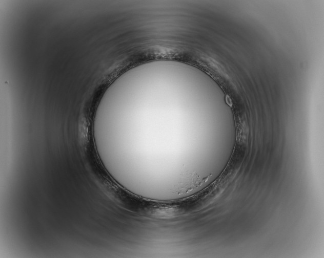 X0000095960456200802011125