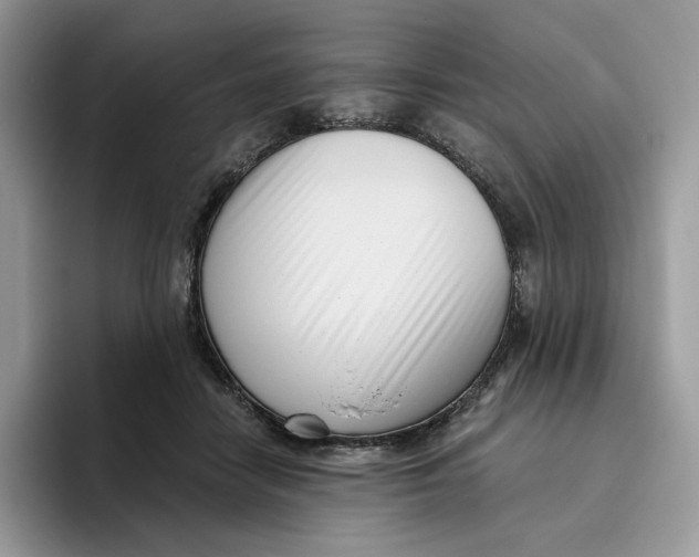 X0000095960458200802011125