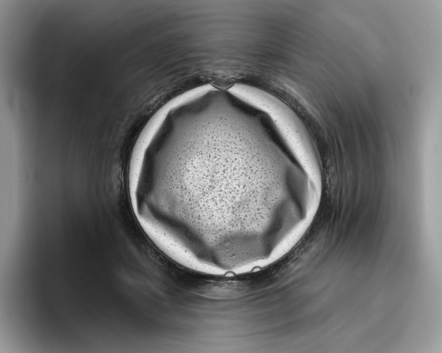 X0000095960459200802011125