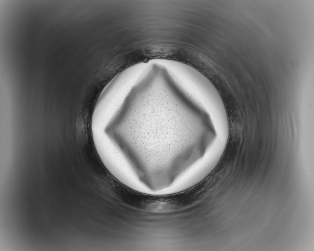 X0000095960460200802011125