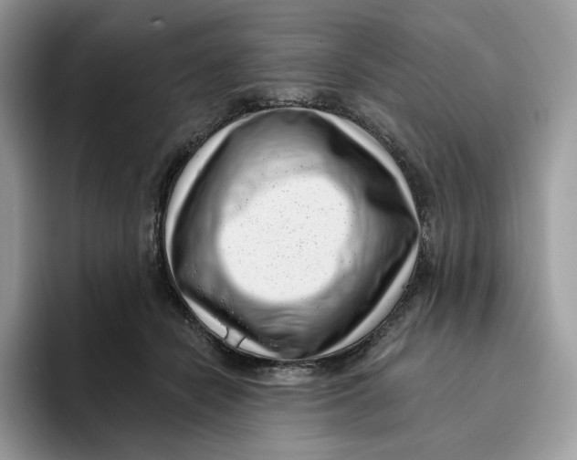 X0000095960462200802011125