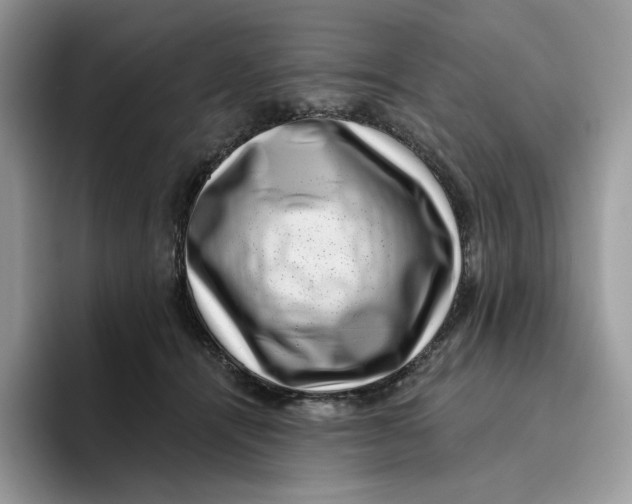 X0000095960464200802011125