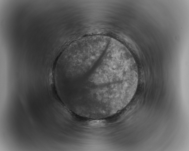 X0000095960465200802011125