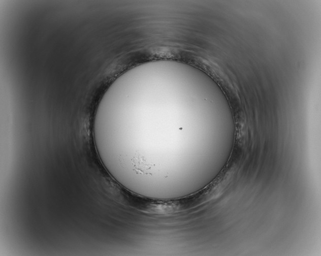 X0000095960466200802011125