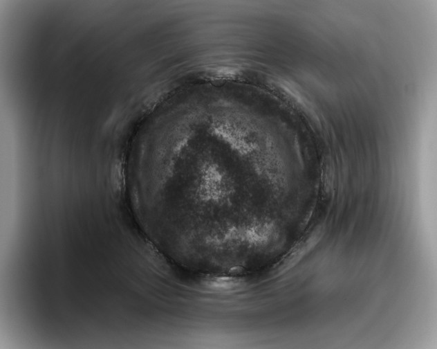 X0000095960467200802011125