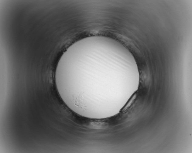 X0000095960470200802011125