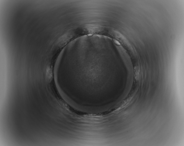 X0000095960471200802011125