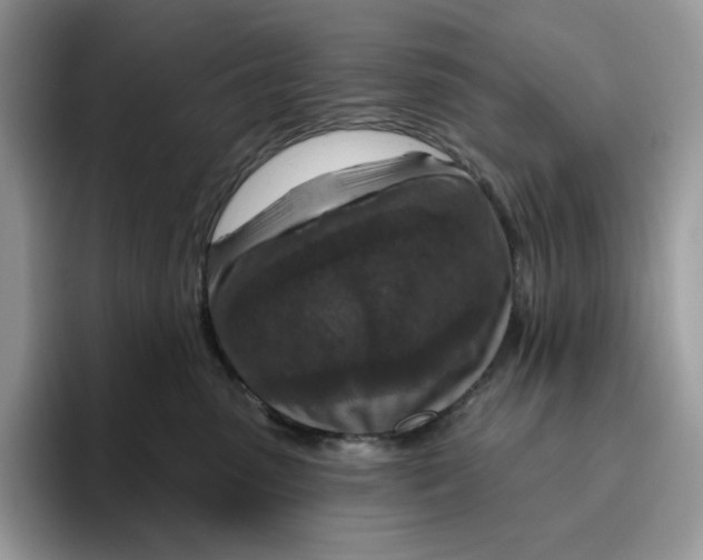 X0000095960475200802011125