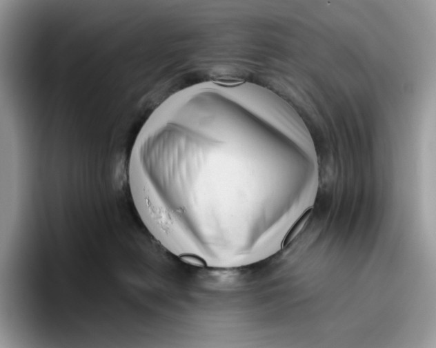 X0000095960478200802011125