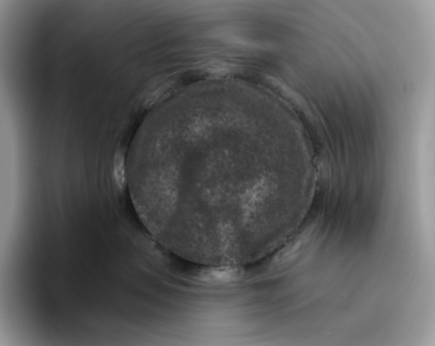 X0000095960479200802011125