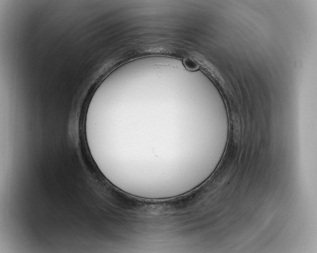 X0000095960482200802011125