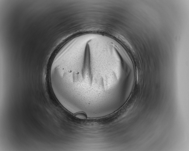 X0000095960483200802011125