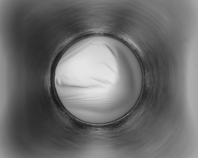 X0000095960486200802011125