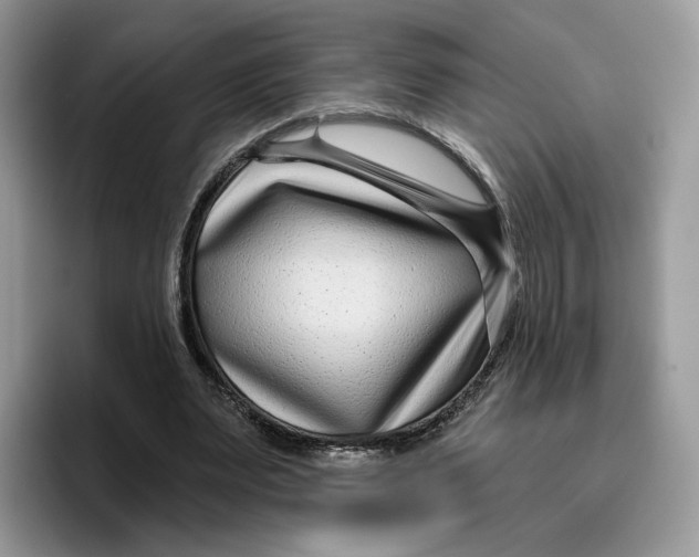 X0000095960487200802011125