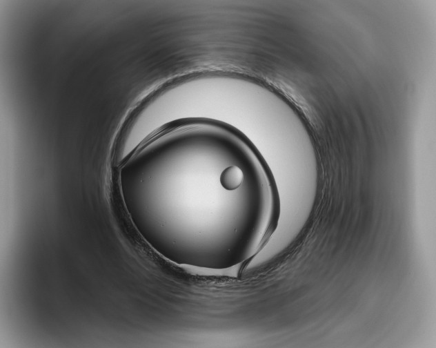 X0000095960488200802011125