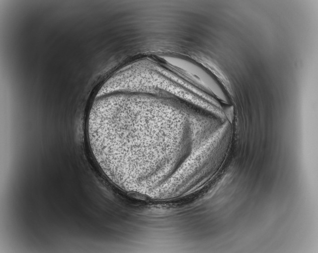 X0000095960489200802011125