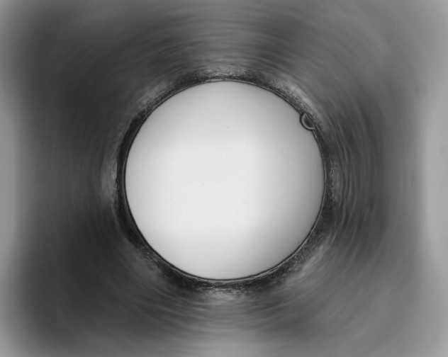 X0000095960490200802011125