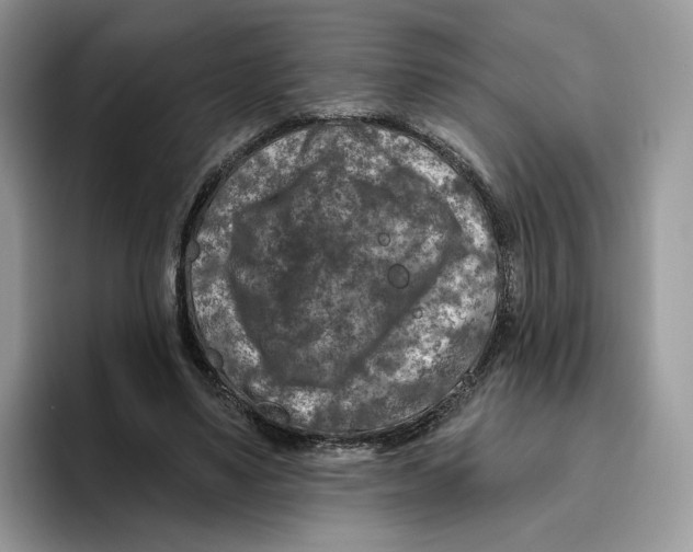 X0000095960491200802011125