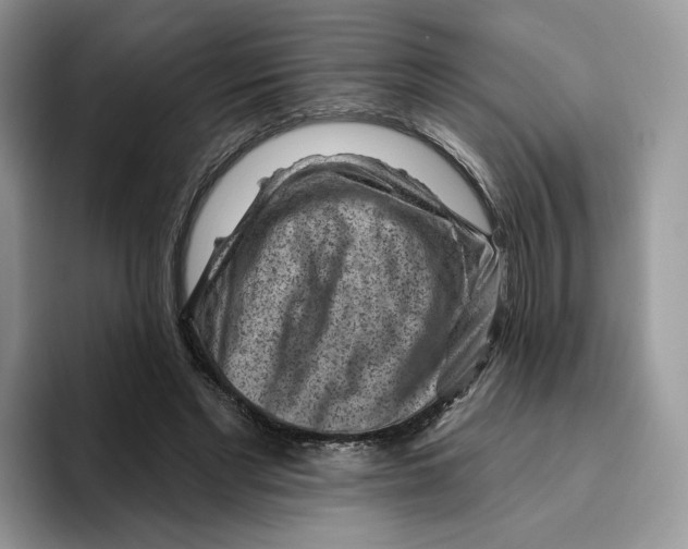 X0000095960493200802011125