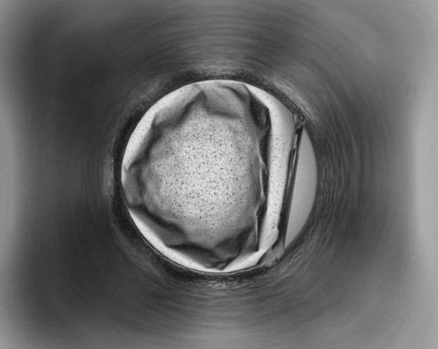 X0000095960494200802011125