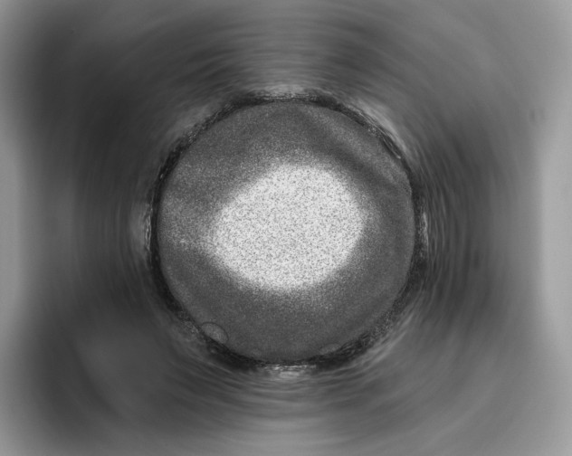 X0000095960495200802011125