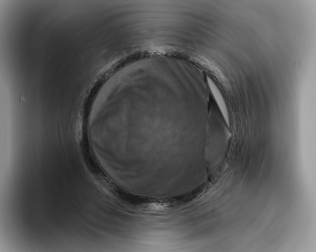 X0000095960496200802011125