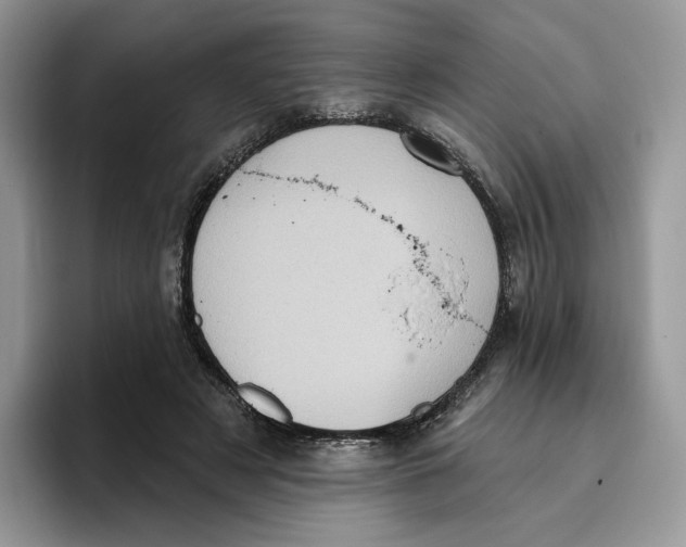 X0000095960497200802011125