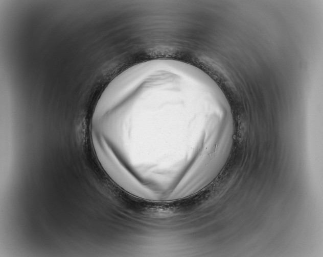 X0000095960498200802011125