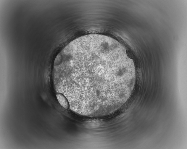 X0000095960499200802011125