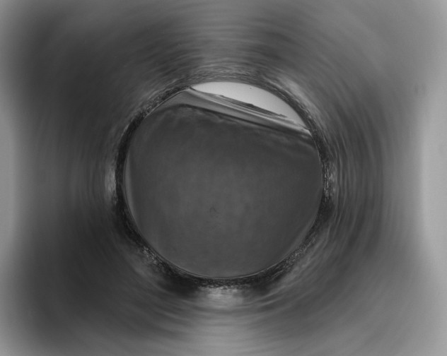 X0000095960500200802011125