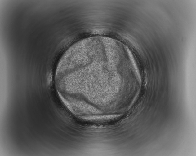 X0000095960502200802011125