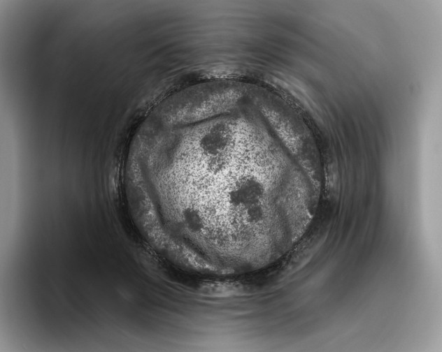 X0000095960503200802011125